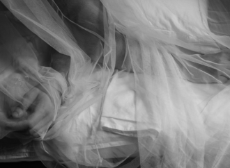 Verso una cultura dell’eros. Psicoterapia e società