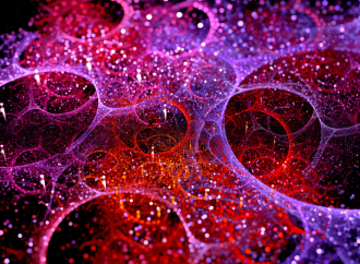 Chapter 3: Sexuality and Aggression