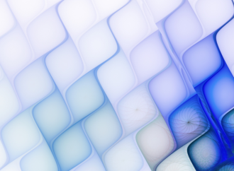 Chapter 13: The Forms of Aggression