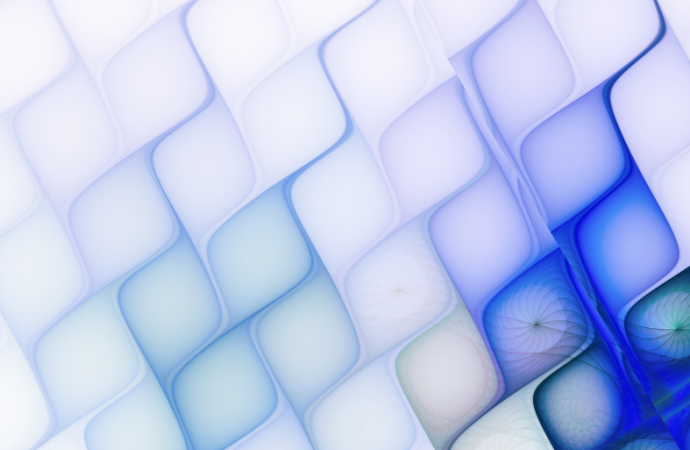 Chapter 13: The Forms of Aggression