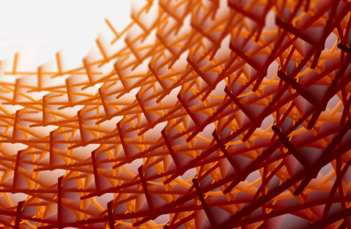 Operational Appendix: What Is Consent