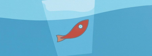 Consapevoli ma non troppo