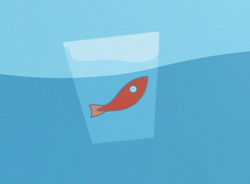 Consapevoli ma non troppo