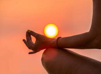 Autoregolazione organismica e potere nella Terapia e nel Counseling  della Gestalt